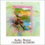 Keiko Matsui - Cherry Blossom