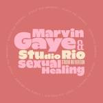 Marvin Gaye & Studio Rio - 7-Sexual Healing