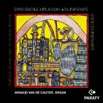Arnaud Van De Cauter - Experiencing Vibrations with Buxtehude (Orgelwerke