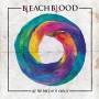 Bleach Blood - All The Sides Of A Circle