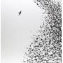 Wilco - Sky Blue Sky