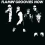 Flamin Groovies - Now