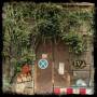 Us Rails - Ivy