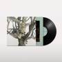 Destroyer - Labyrinthitis