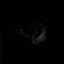 Sadon & Treha Sektori - Symphony of Dying LP