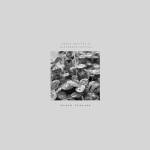 Pablo Bolivar / Alexandra Savvidi - Other Stories (LP)