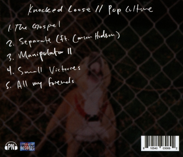 Pop Culture 1