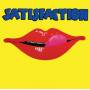 Satisfaction - Satisfaction (Exp.& Rem.)