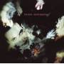 Cure - Disintegration