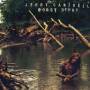 Jerry Cantrell - Boggy Depot