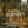 Various - Dvorak:Cello Concerto,Silent Woods,Serenade