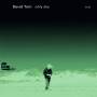 David Torn - Only Sky