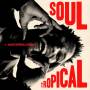 David Walters - Soul Tropical