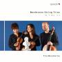 Trio Boccherini - Streichtrios op.9 1-3