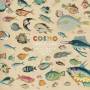 Cosmo Sheldrake - ImportCDs Much Much How How & I Pop rock Vinyl