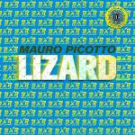 Mauro Picotto - Lizard