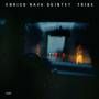 Enrico Quintet Rava - Tribe