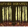 Katy Lied - Echo games