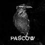 Pascow - Diene der Party - farbiges Vinyl