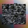 The Hilliard Ensemble / Collegium Vocale / Paul Gige - Trans Limen ad Lumen