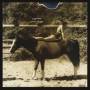Eagle / Deer - The Summer Of Sepia