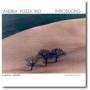 Andrea Pozzato Trio - Introducing