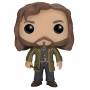 Harry Potter - Funko Pop Harry Potter Sirius Black 16