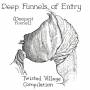 Various - Deep Funnels Of Entry