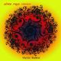 Shez Raja Collective - Mystic Radikal