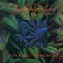 Trip Shakespeare - Are You Shakespearienced