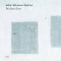 Julia Hlsmann Quartet - The Next Door