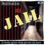 Various - Destination Jail Vol. 2 - 24 More Songs From Behin