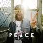 MC Fitti - Peace (Klappcover/Doppel Picture Disc)