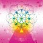 Drum Eyes - Gira Gira