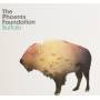 Phoenix Foundation - Buffalo