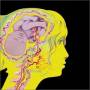 Keith Tippett - Dedicated To You...