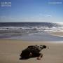 Carlos Giffoni - Evidence