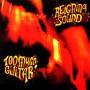 Reigning Sound - Too Much Guitar