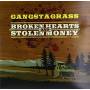 Gangstagrass - Broken Hearts & Stolen Money