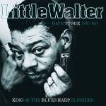 Little Walter - Hate to See You Go