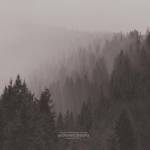 An Autumn For Crippled Children - Withered Dreams: Singles 2013-2017