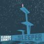 The Leisure Society - The Sleeper (Coloured Vinyl 2LP+MP3)