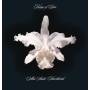 Kings Of Leon - Aha Shake Heartbreak