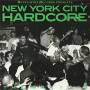 V / A - New York City Hardcore / Various