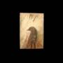Dan Melchior - Souls Of Birds And Mice