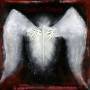 Shape Of Despair - Angels Of Distress (black 2-vinyl)