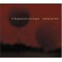 Fink / Marmor / Lorentz / Duke-kirkpatric - Temperament For Angels