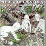 Metabolismus - Terra Incognita