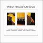 V / a - W.h.r. Guitar Sampler