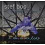 Stef Bos - In Een Ander Licht